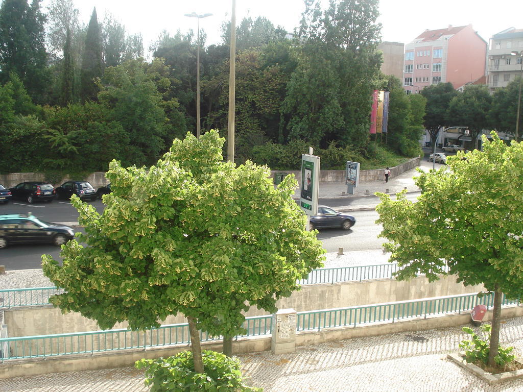 Center Garden Luxury Apartment Lisboa Rum bild